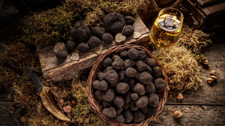 Miért lett a szarvasgomba a luxus bőrápolás egyik legizgalmasabb hatóanyaga?